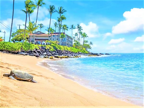 Two Bedroom Ocean View Rental Condo in Kahana