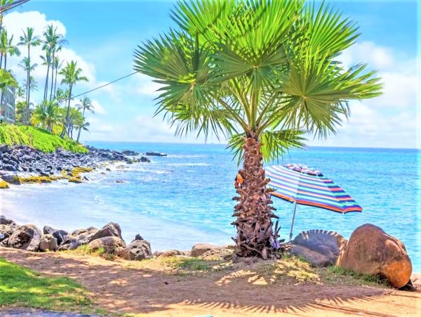 Two Bedroom Ocean View Rental Condo in Kahana