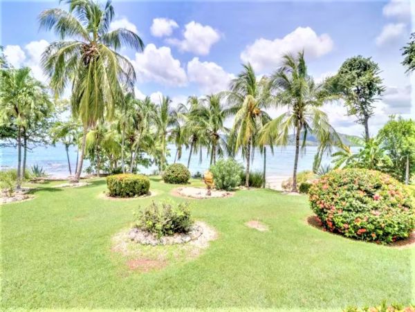 Two Bedroom Oceanfront Vacation Condo in Flamingo Beach