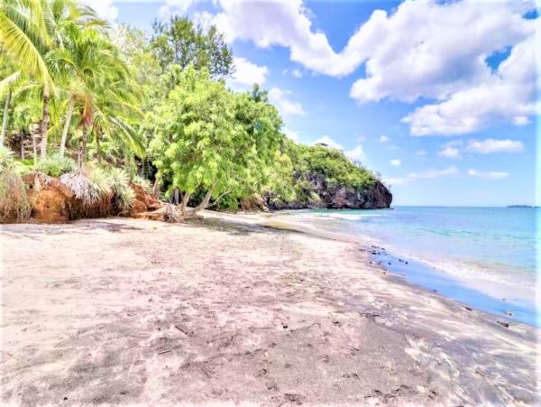 Two Bedroom Oceanfront Vacation Condo in Flamingo Beach