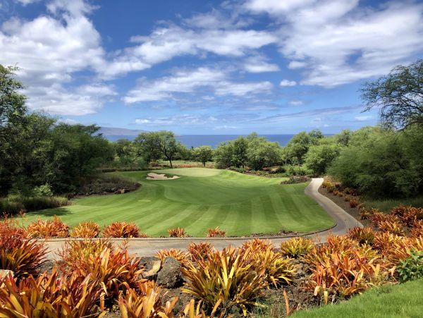Spectacular Wailea Vacation Condo Three Bedroom Walk to Beach