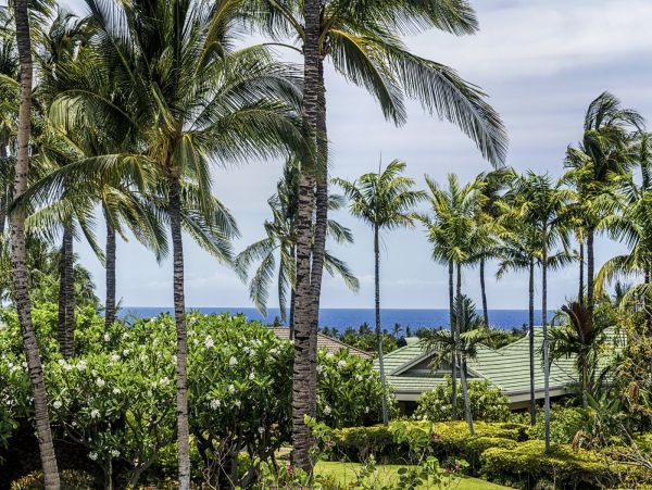 Luxury Waimea Vacation Pool Home Five Bedroom Short Walk to Beach
