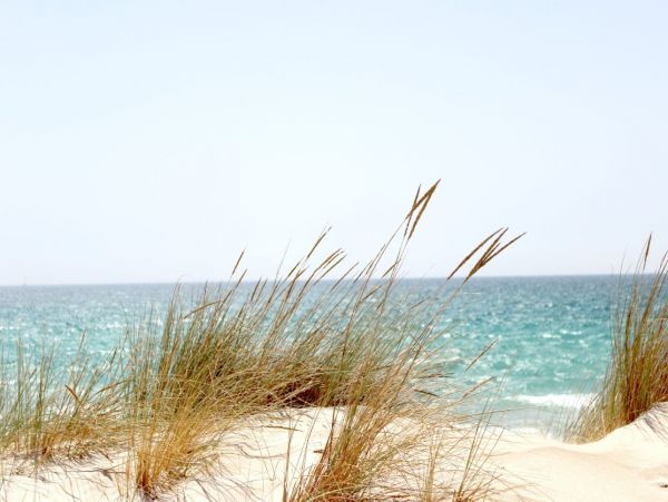 Two Bedroom Vacation Beach Condo in Holmes Beach Sleeps 6