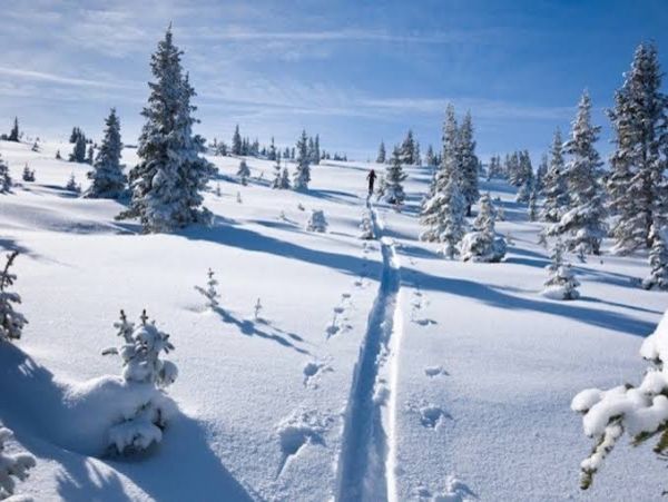Three Bedroom Mountain View Cabin in Breckenridge