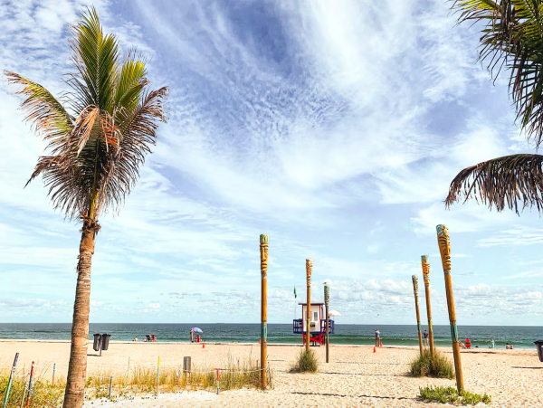 Relaxing Retreat Near Safety Harbour and Clearwater Beach