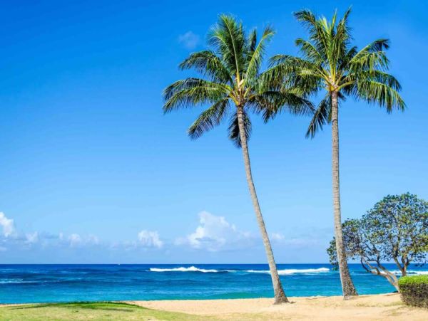 Maui Vacation Rental Condo in Kihei – 1 Bedroom Near Kamaole Beach