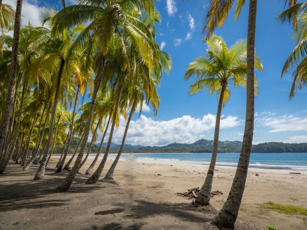 Oceanviews Playa Samara Vacation Condo One Bedroom