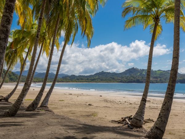 Oceanviews Playa Samara Vacation Condo One Bedroom