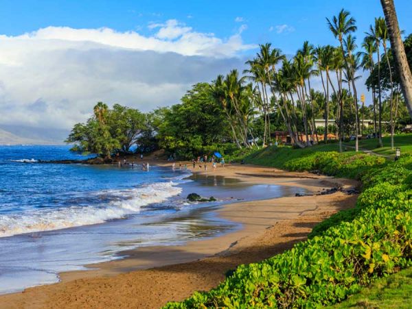 Beautiful 2 Bedroom Condo in Wailea Sleeps 6 Guests