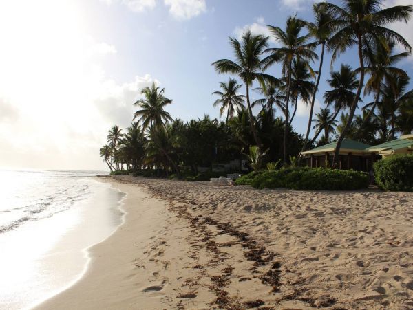 One Bedroom Vacation Rentals in St. Croix Sleeps 3