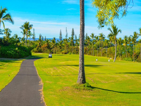 Waikoloa Vacation Condo One Bedroom