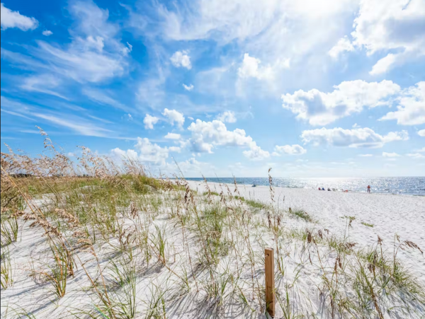 Pet Friendly Waterfront Perdido Key home