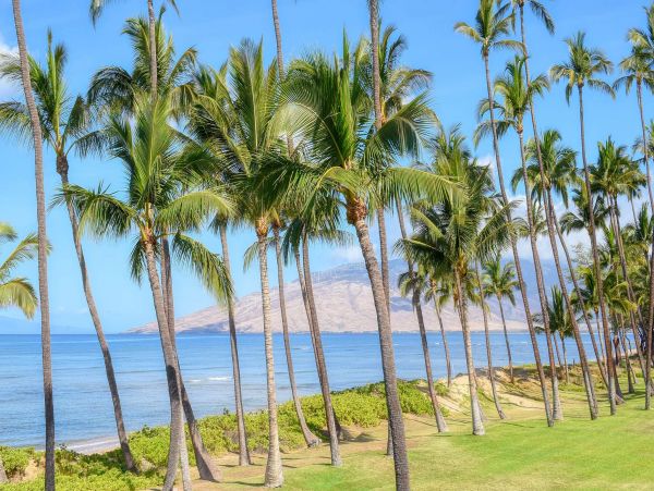 Kihei Vacation Condo Three Bedroom On Beach