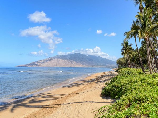 Beachfront Three Bedroom Vacation Condo in Kihei