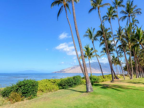 Beachfront Three Bedroom Vacation Condo in Kihei