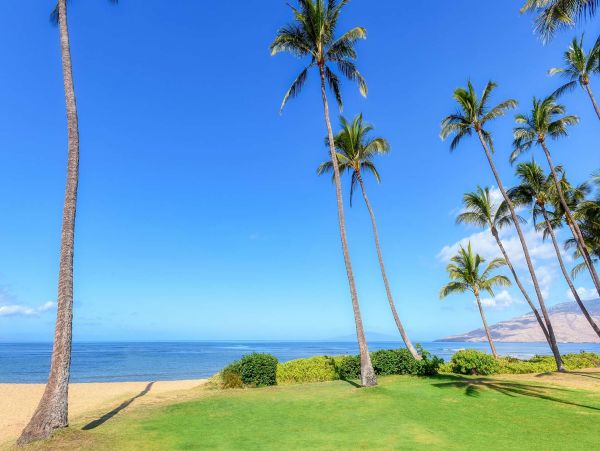 Beachfront Three Bedroom Vacation Condo in Kihei