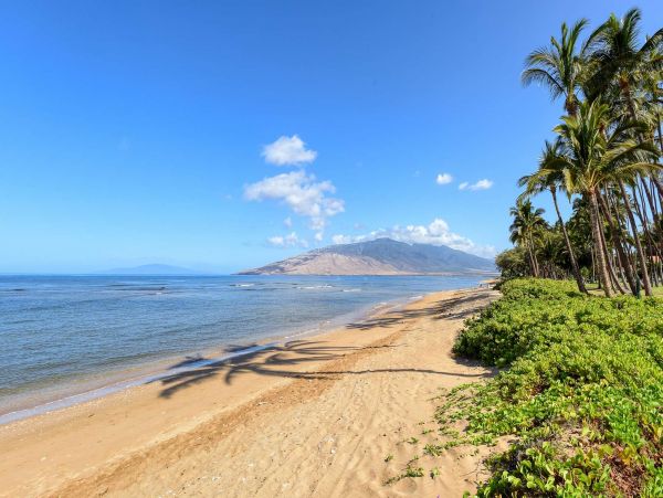 Beachfront Three Bedroom Vacation Condo in Kihei