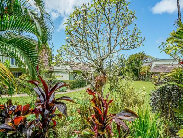 Lahaina Vacation  Two Level Condo Three Bedroom Walk to Beach
