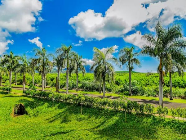 Koloa Three Bedroom Mountain View Rental Condo