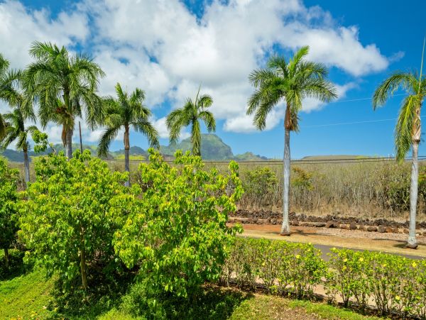 Poipu Vacation Rental with Mountain Views & Resort Amenities