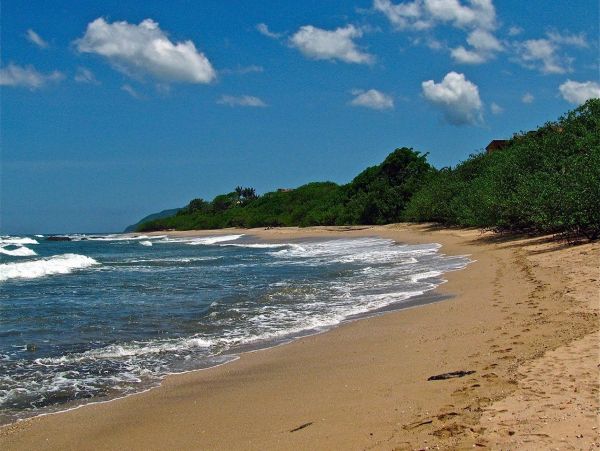 Beachfront 3 Bedroom Condo in Playa Langosta
