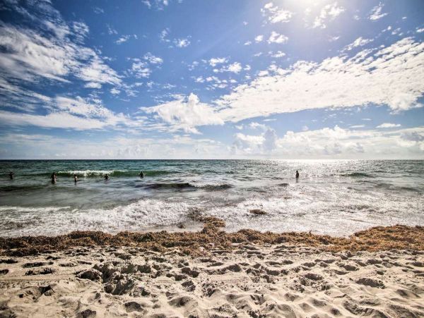 Unwind in Paradise Premier Vacation Rental in Hollywood