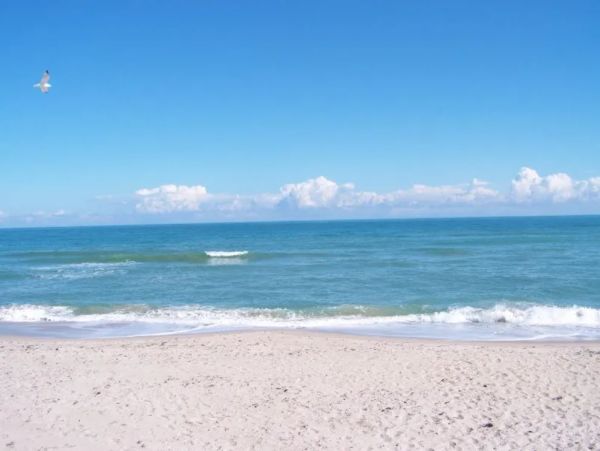 Lovely One Bedroom Condo in Fort Pierce Steps from Beach