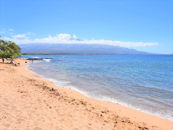 Kihei Oceanfront One Bedroom Vacation Condo