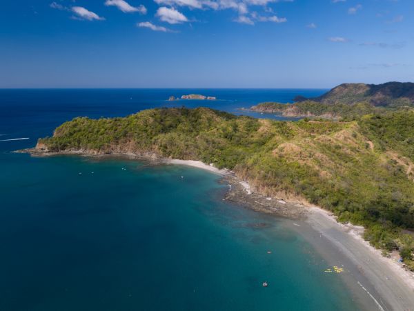 Spectacular 5 Bedroom with Forest & Ocean
