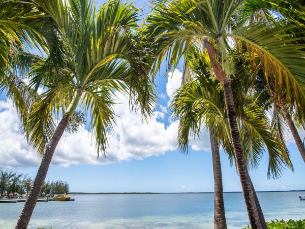 Cayman Islands 2 Br Beachfront Vacation Condo in Scenic Cayman Kai