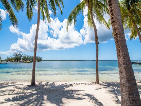 Cayman Islands 2 Br Beachfront Vacation Condo in Scenic Cayman Kai