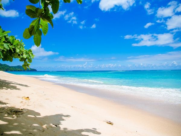 Grand Cayman Beach Cottage Private Beach Sleeps 10