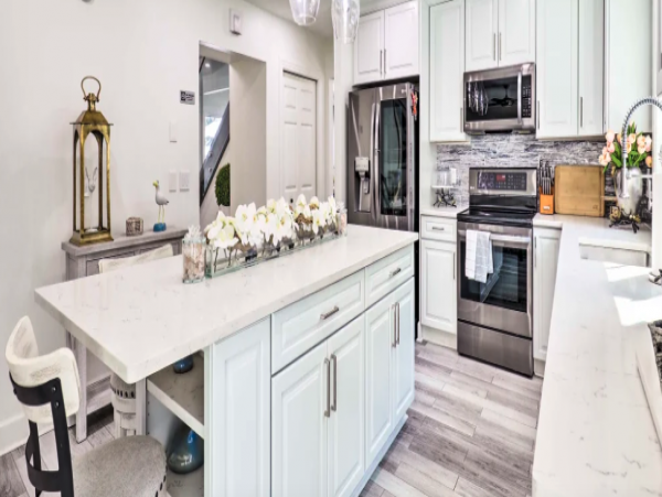 Tampa Home 1034426
