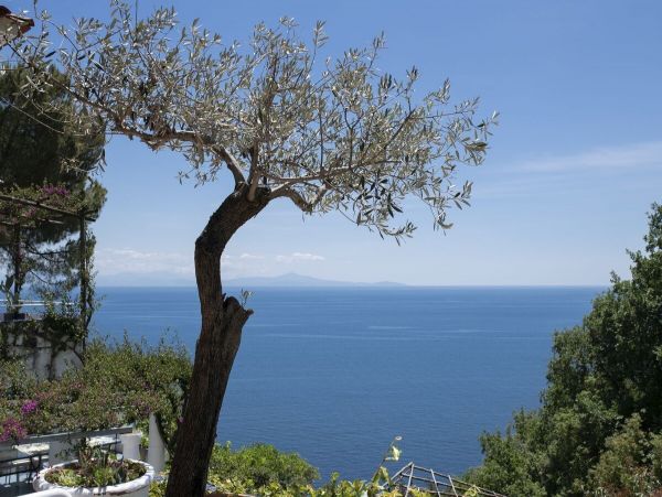 Amalfi Vacation Pool Home Six Bedroom Ocean Views