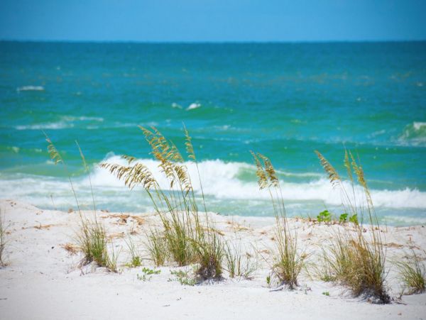 Charming Vacation Condo a Short Walk to Beach in Indian Rocks