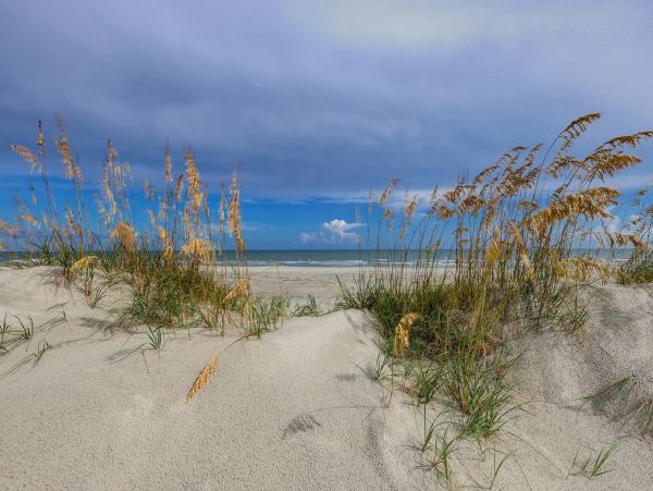 Luxury Oceanfront Vacation Home in Hilton Head Sleeps 14