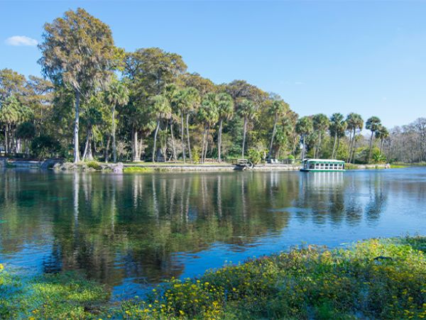 Ocala Charming Vacation Home Sleeps Six Guests