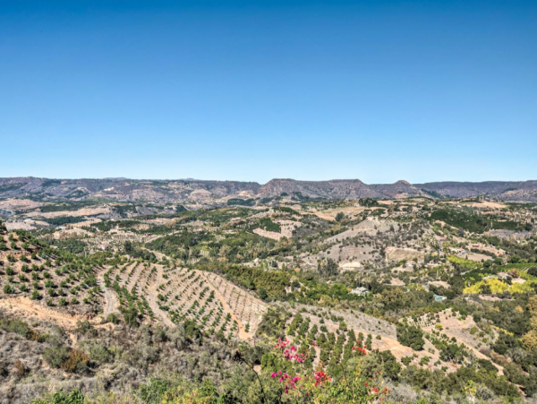 Grand Wine Country Vacation Home in Beautiful Temecula Sleeps 8