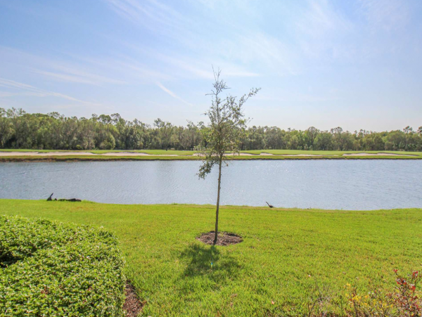Stunning Vacation Condo with 3 Bedrooms & Lake Views