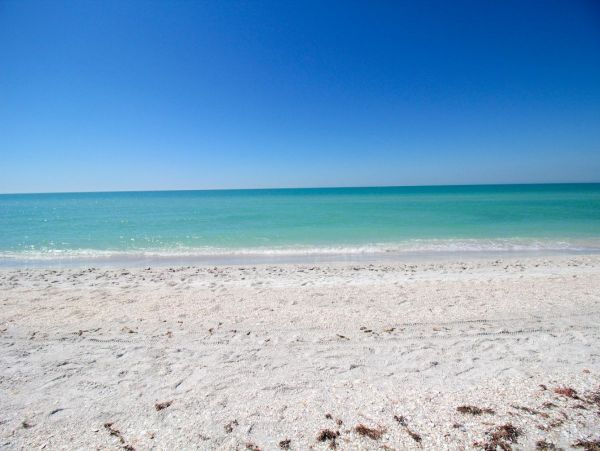 Lido Key Vacation Condo One Bedroom Walk to Beach
