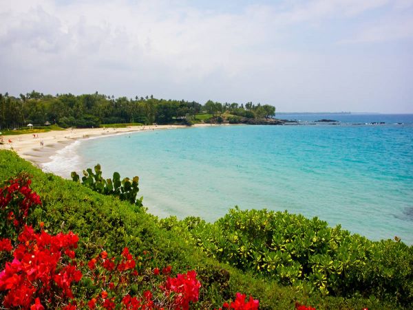Kohala Coast 4 Bedroom Home with Pool & Spa