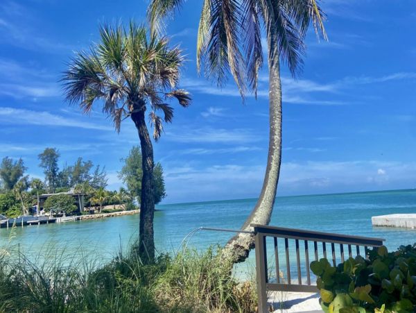 Charming Condo with 1 Bedroom in Siesta Key