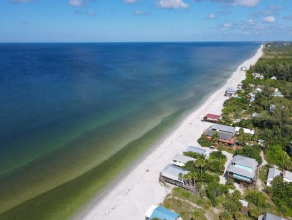 Direct Beach/Gulf Front Two Bedroom Cottage
