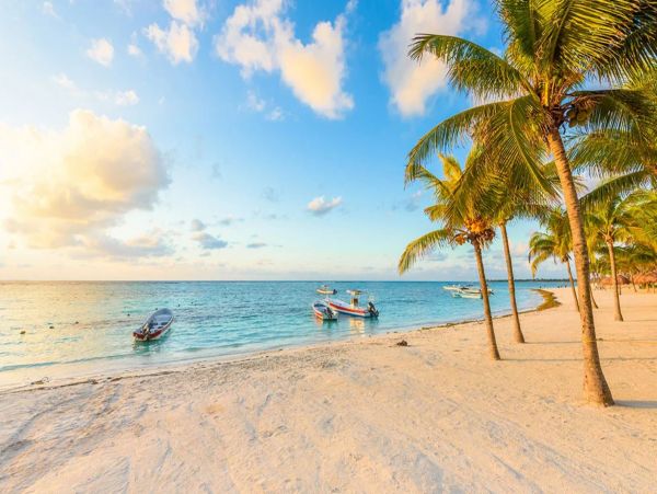 Oceanfront Luxury Vacation Villa in Playa del Carmen 8 Guests