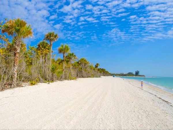Bonita Springs Three Bedroom Tropical Paradise