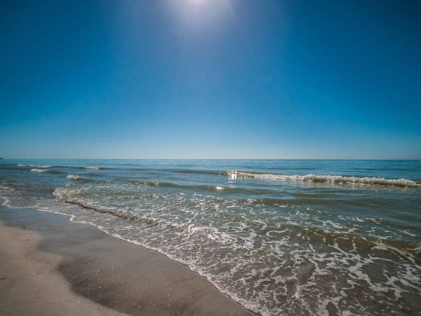 Indian Shores Beachfront Condo Rental – Gulf Coast Vacation