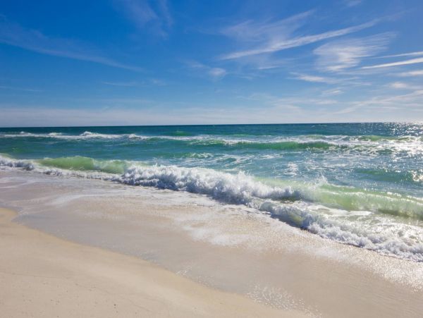 Four Bedroom Luxury Vacation Home in Miramar Beach