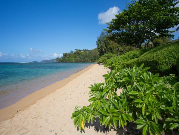 Six Bedroom Oceanfront Vacation Home in Anini Beach with Amazing Views