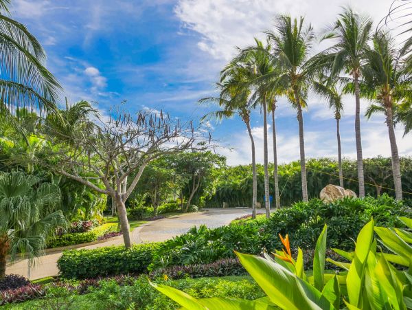 Punta Mita Vacation Home with Plentiful Spaces for Lounging & Dinning