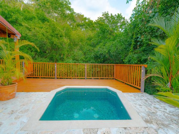 Manuel Antonio Gorgeous Ocean View Home